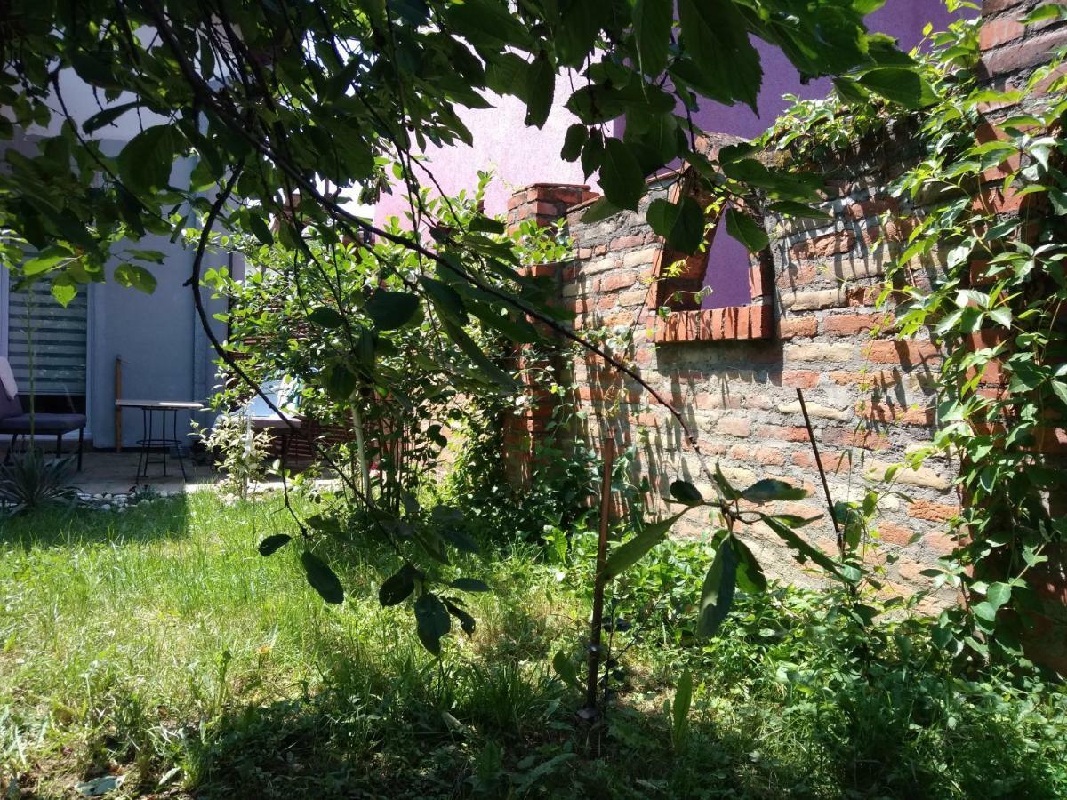Ferienwohnung Garmani Vrnjačka Banja Exterior foto